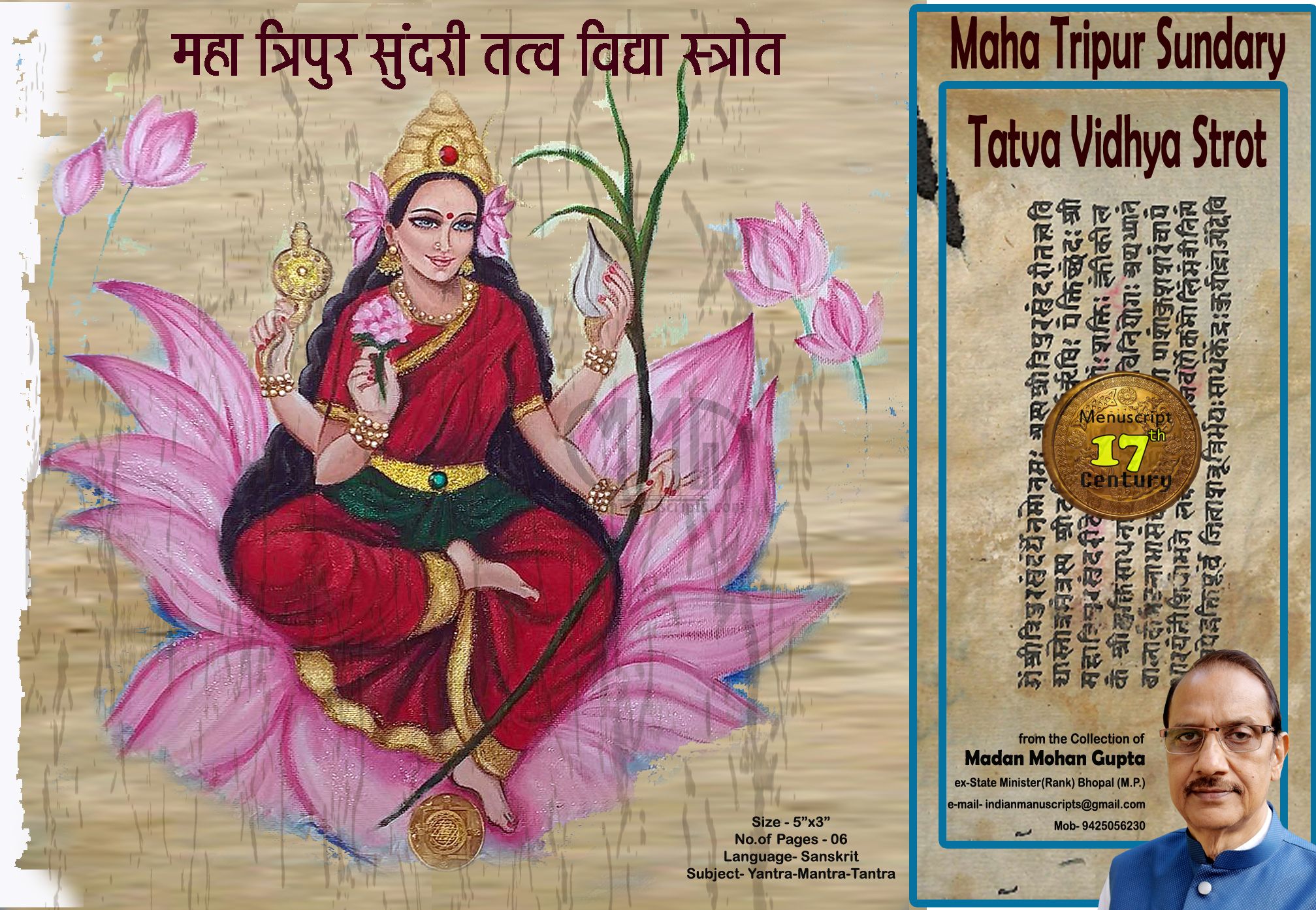 Maha Tripura Sundari Tattva Vidya Strot | IndianManuscripts.com